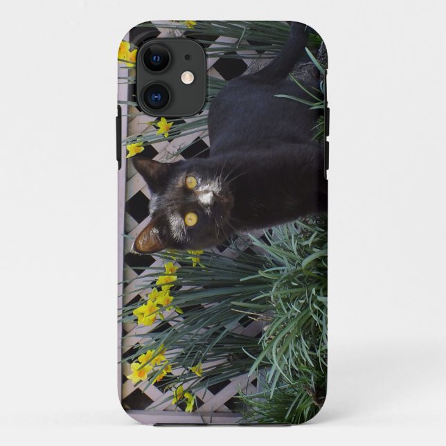 Black Cat In The Daffodils iPhone 5 Case (Back)