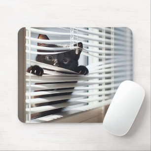 Black Cat In White Blinds Mouse Pad