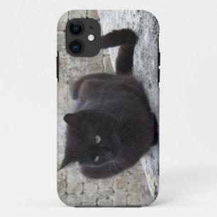 Black Cat iPhone 5 case-mate 11 Case