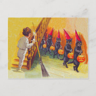 Black Cat Jack O Lanter Pumpkin Broom Postcard