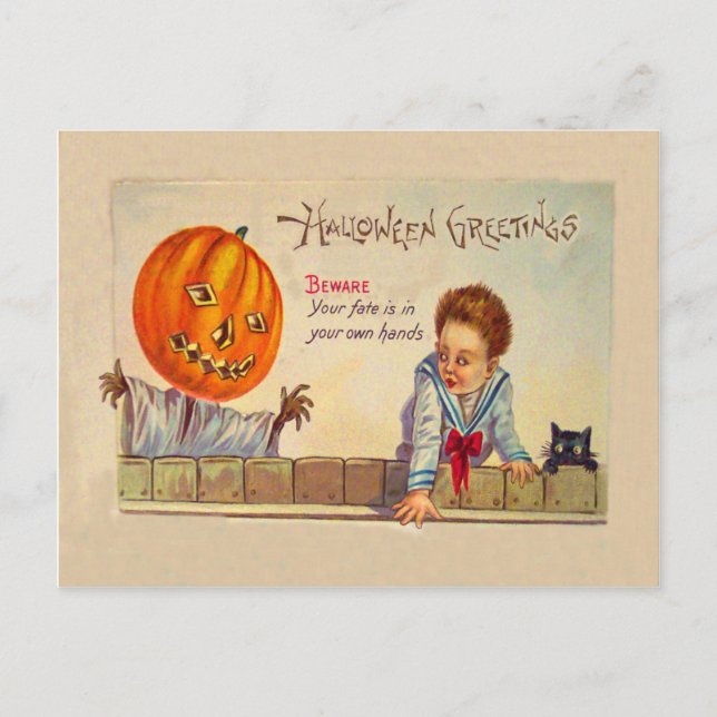 Black Cat Jack O Lanter Pumpkin Scarecrow Postcard (Front)