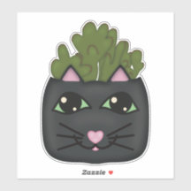Black Cat Jade Plant Planter Sticker