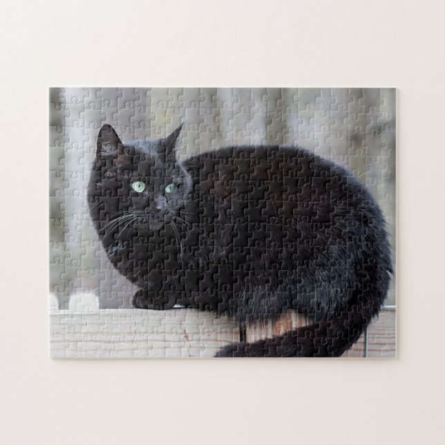 Black cat jigsaw puzzle (Horizontal)