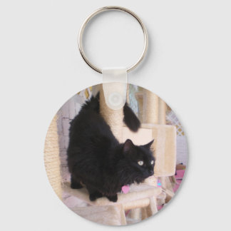 Black Cat Key Chain featuring Smoky