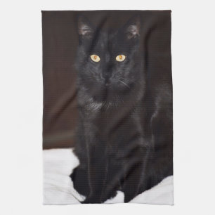 Black Cat Kitchen Towel