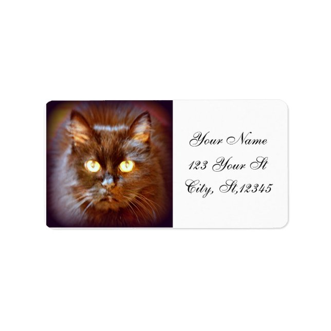 black cat label (Front)