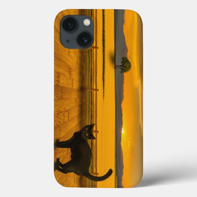Black Cat Landscape Case-Mate iPhone Case (Back)