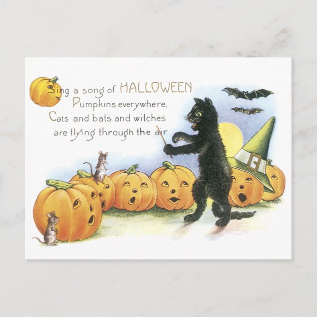 Black Cat Leading Jack O' Lantern Halloween Choir Postcard (Front)