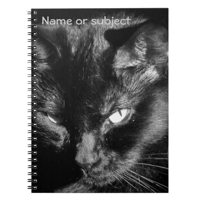 Black Cat Lookin at You Notebook (Front)