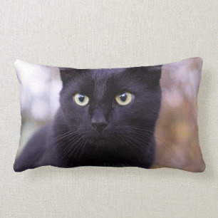 black cat lumbar pillow