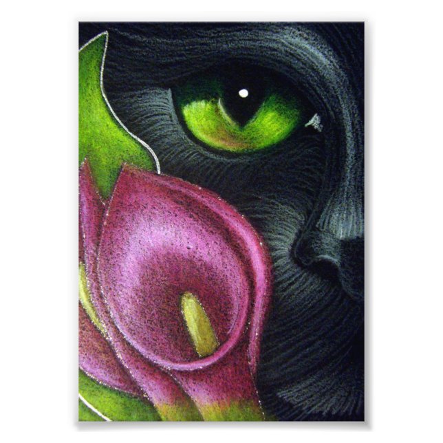 BLACK CAT MAGENTA CALLA LILY FLOWERS PRINT (Front)