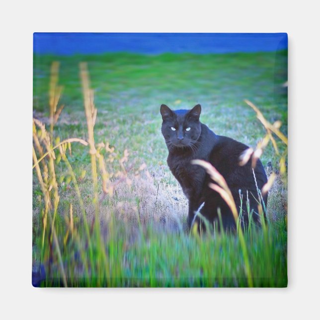 Black Cat Magnet (Front)