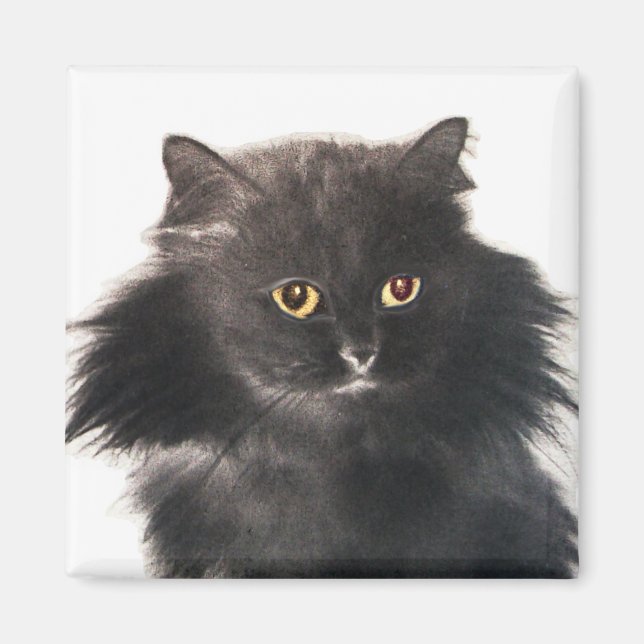 BLACK  CAT MAGNET (Front)