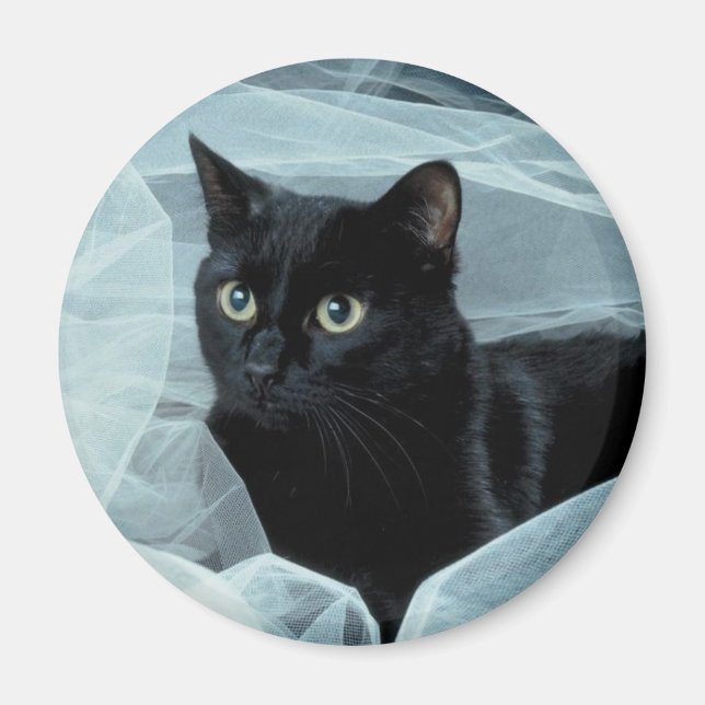 Black Cat Magnet (Front)