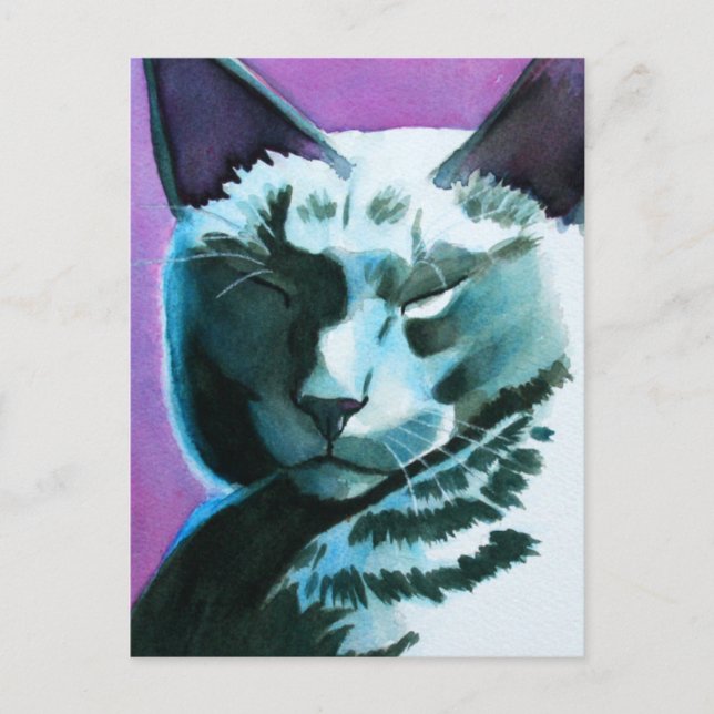 Black Cat Marina Regal Postcard (Front)