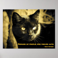Black Cat Meme with Irish proverb