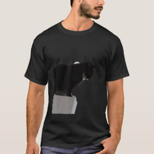 Black cat meme witty kitten T-Shirt