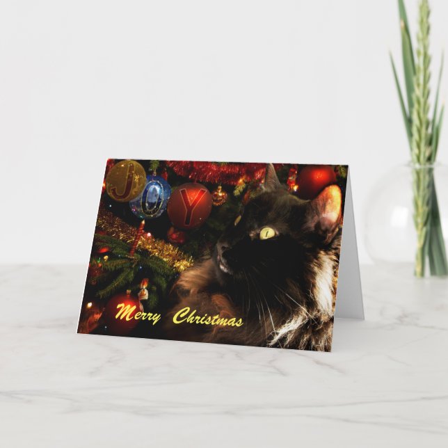 Black Cat Merry Christmas Holiday Card (Front)