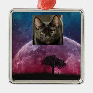 Black Cat Metal Ornament