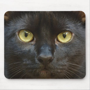 Black cat mouse pad