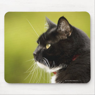 Black Cat Mouse Pad