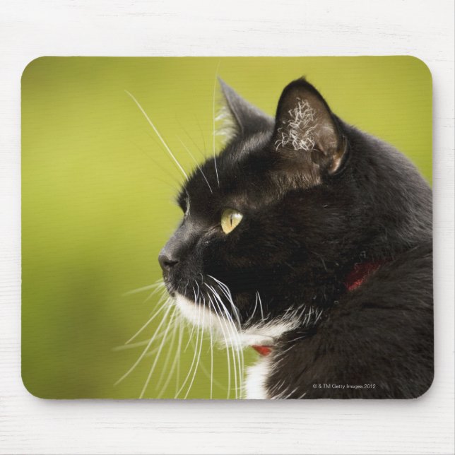 Black Cat Mouse Pad (Front)