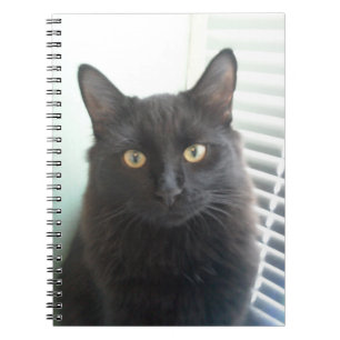 Black Cat Notebook