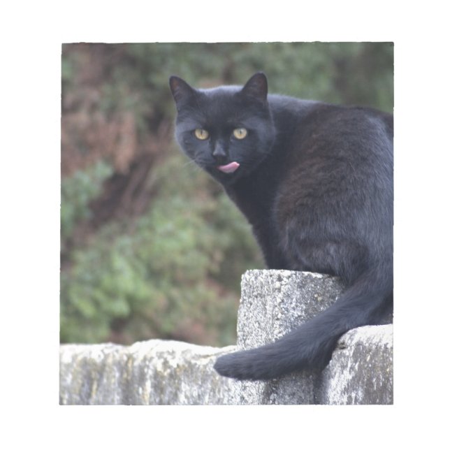 Black Cat Notepad (Front)