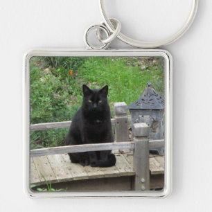 Black Cat on a Bridge Keychain