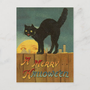 Black cat on a fence at Halloween night, vintage Postcard