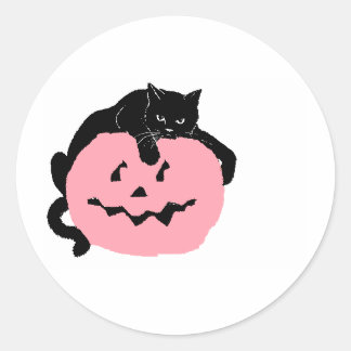 Black Cat On A Pink Pumpkin Classic Round Sticker