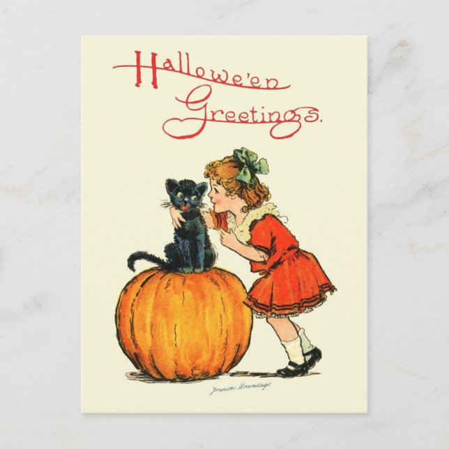 Black Cat on a Pumpkin Postcard (Front)