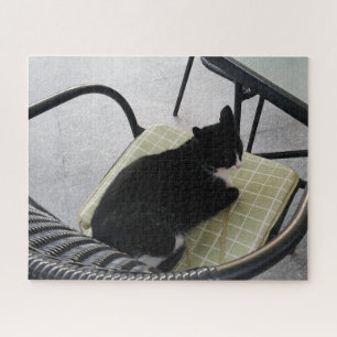 Black cat on a terrace jigsaw puzzle
