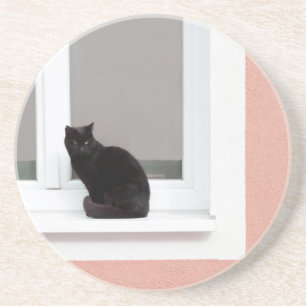 Black Cat on Coral Coaster