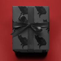 Black Cat on Grey |