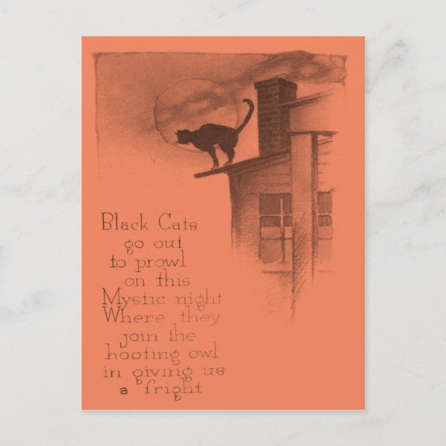 Black Cat On Roof Full Moon Postcard (Front)