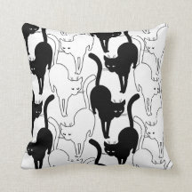 Black Cat on the street