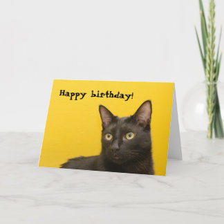 Black cat on Yellow Birthday Card