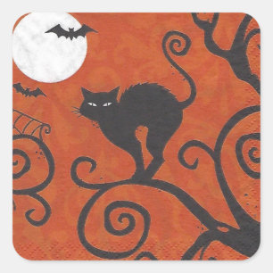black cat orange square sticker