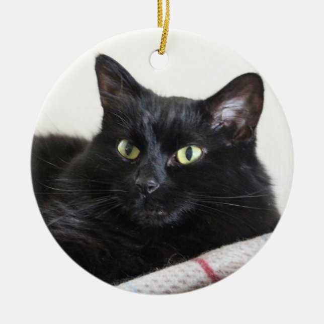 Black cat ornament (Front)