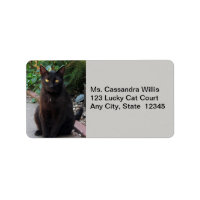 Black Cat Patiently Waiting Address Labels