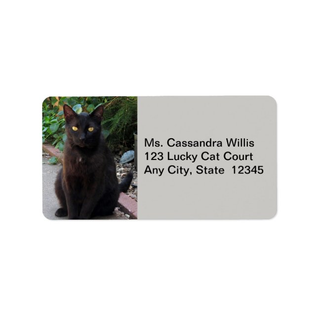 Black Cat Patiently Waiting Address Labels (Front)