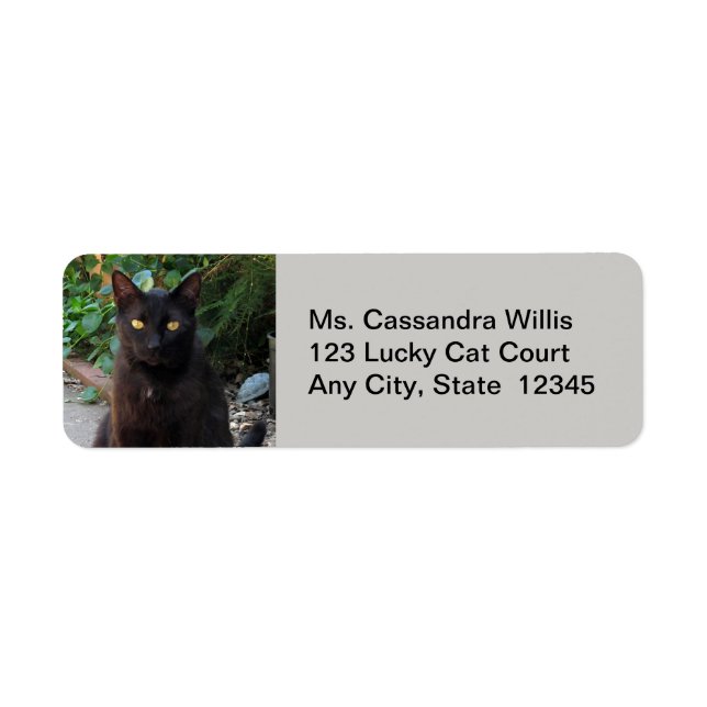 Black Cat Patiently Waiting Return Address Labels (Front)