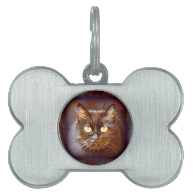 black cat pet name tag (Front)