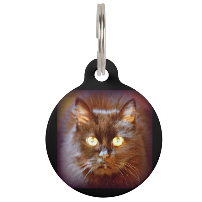black cat pet tag (Front)