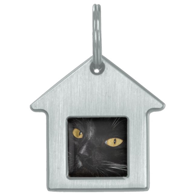 Black Cat  Pet Tag (Front)