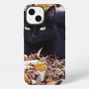 Black Cat Photo Apple iPhone 8/7, Tough Xtreme 13 Case