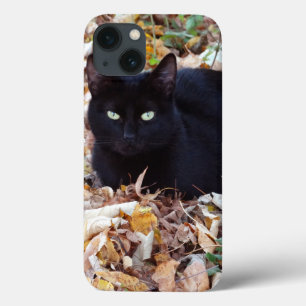 Black Cat Photo Apple iPhone 8/7, Tough Xtreme iPhone 13 Case