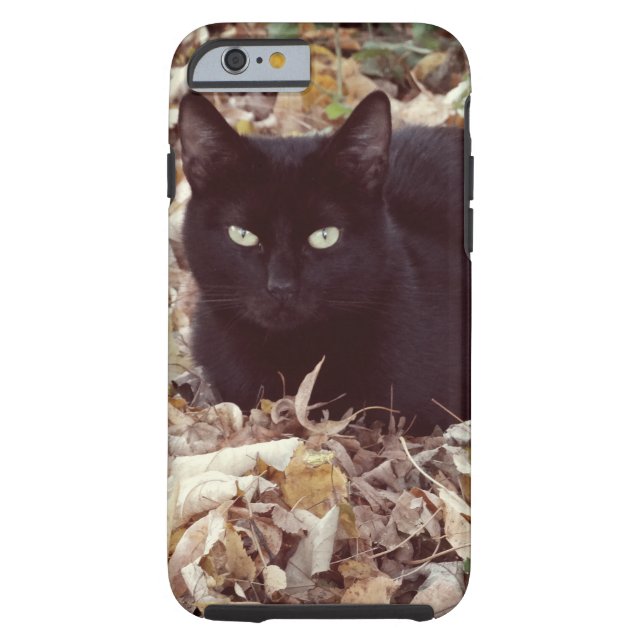Black Cat Photo  iPhone 6/6s, Tough Case-Mate iPhone Case (Back)