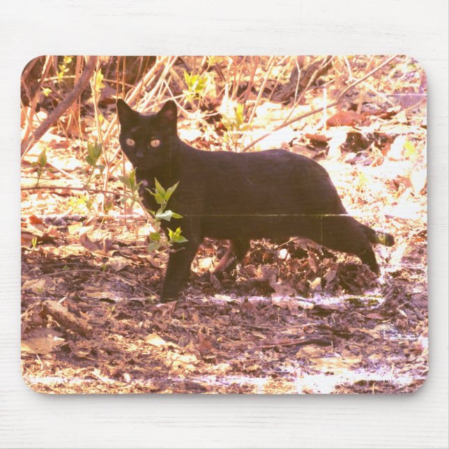 Black Cat Photo Mouse Pad (Front)